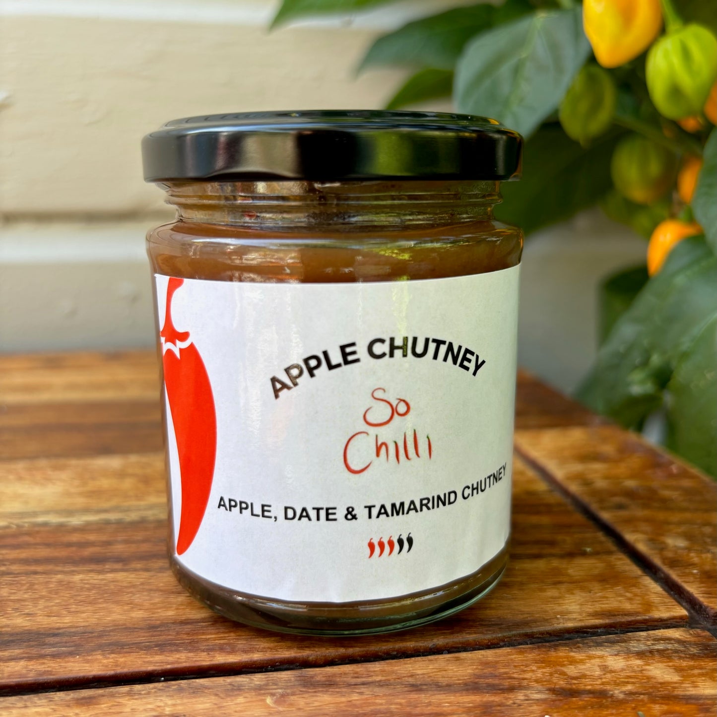 🌶️🌶️🌶️ Apple, Date & Tamarind Chutney